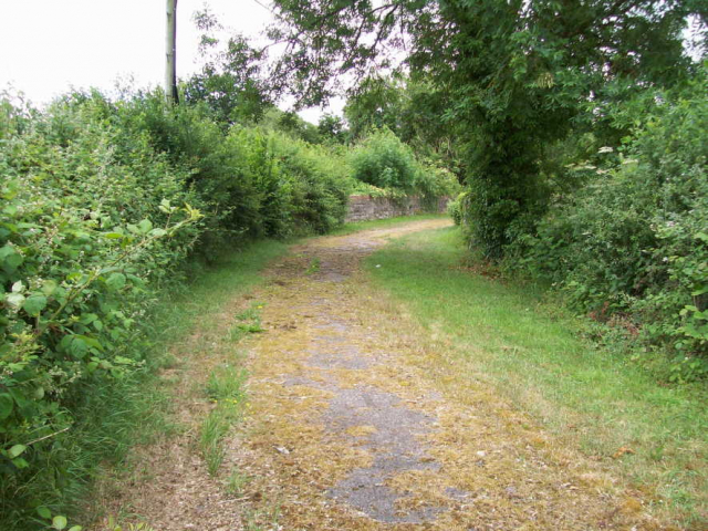 A disused road over a disused railway. If nature had had its way the old road would be entirely overgrown, but has been kept open. Devon & Somerset Railway