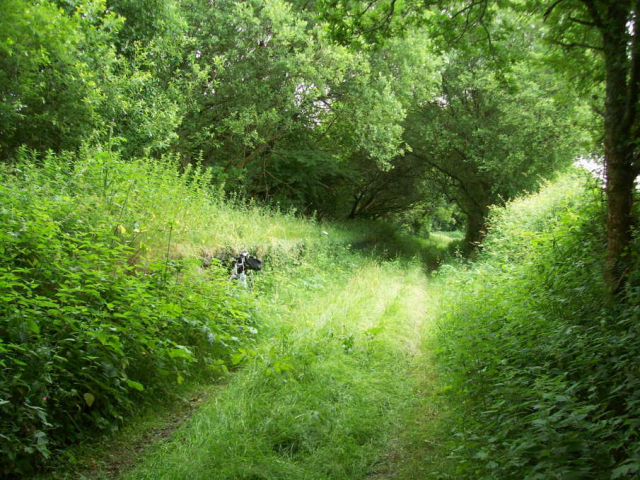The scout's bicycle is leaning against the platform wall. Devon & Somerset Railway