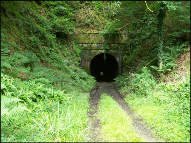The eastern portal. Devon & Somerset Railway