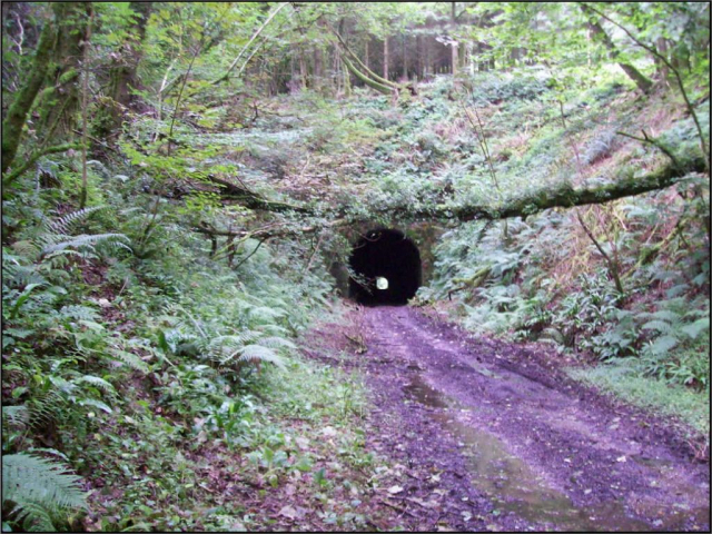 The western portal. Devon & Somerset Railway