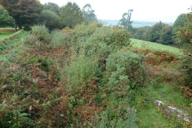 Callington Branch
