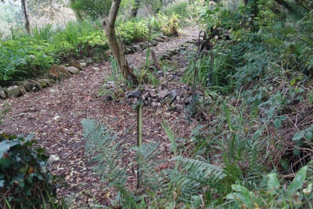 Callington Branch