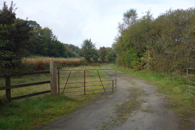Callington Branch