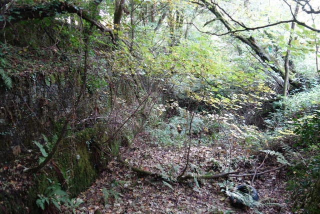 Callington Branch