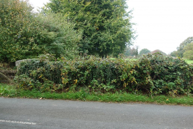Callington Branch