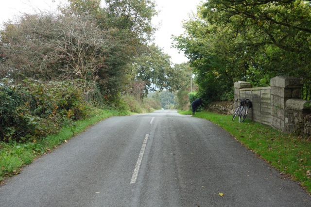 Callington Branch