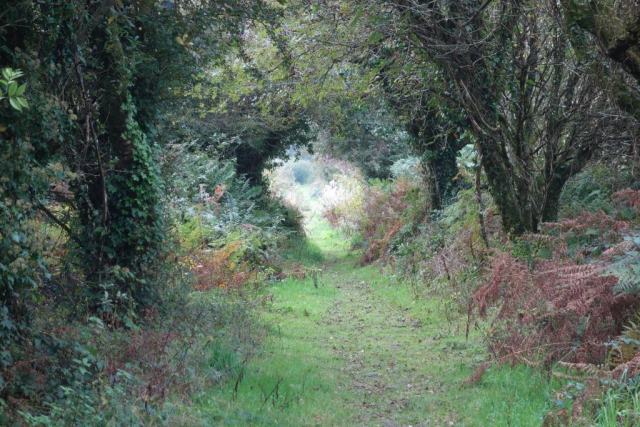 Callington Branch