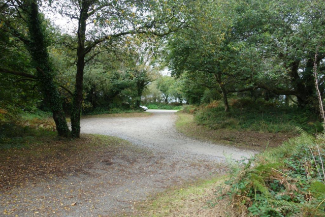 Callington Branch