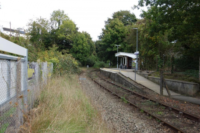 Callington Branch