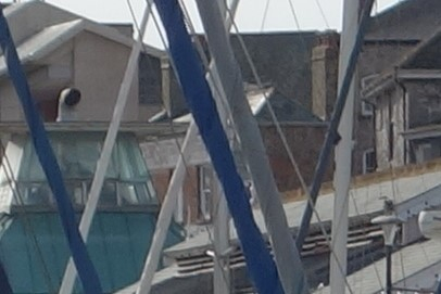 North Quay Branch