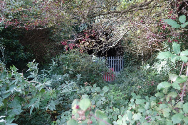 Cattewater Branch