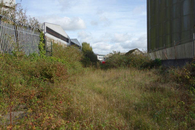 Cattewater Branch