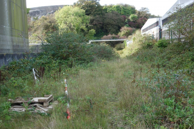 Cattewater Branch