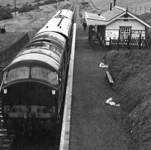 Callington Branch