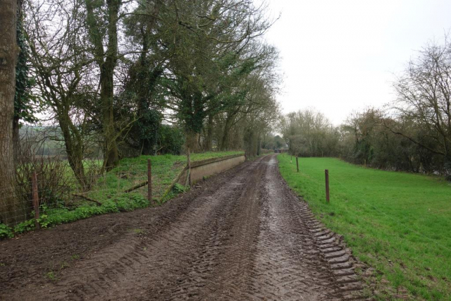 Burn Farm cattle is gathered on the line ahead. Cadeleigh, Cheriton Fitzpaine and Stockleigh Pomeroy