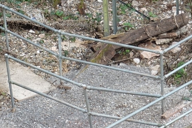 Are these railings really necessary and did the stone have to be chucked over the old sleeper? Cadeleigh, Cheriton Fitzpaine and Stockleigh Pomeroy
