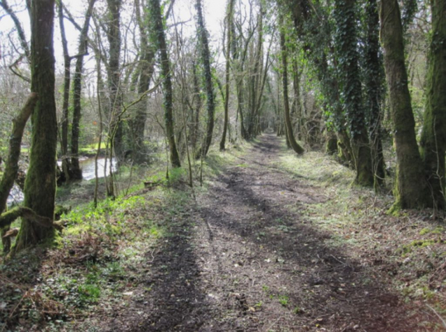 Okehampton to Friary