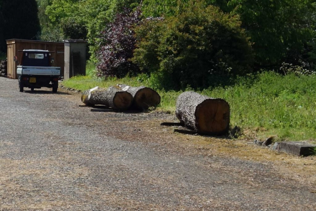 By the time it was sold to Devon Timber, all the bark and sapwood had gone. Padley Common