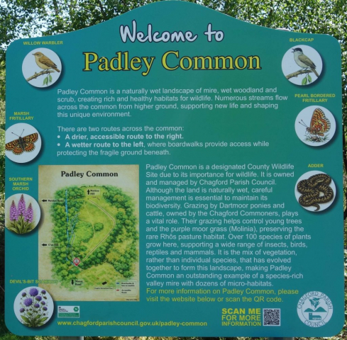 The scout took the "wetter route." Padley Common