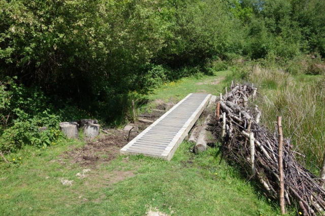 The scout had imagined a longer walkway with handrails. Padley Common