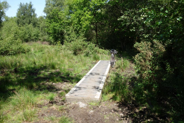 The heartwood of oak is extremely durable and needs no treatment. Padley Common