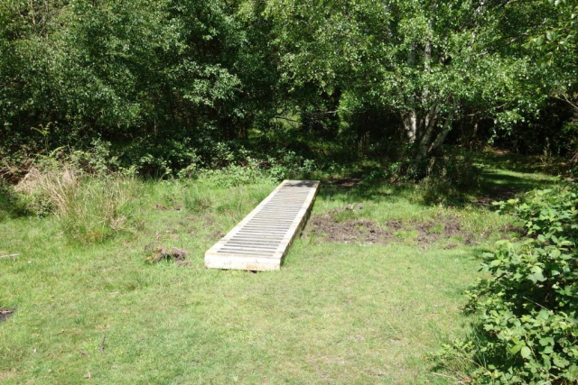 The boards have quite substantial beams beneath them. Padley Common