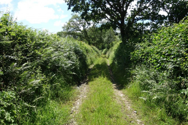 A public footpath from the B3217 caught the scout's eye. Eggesford to Okehampton